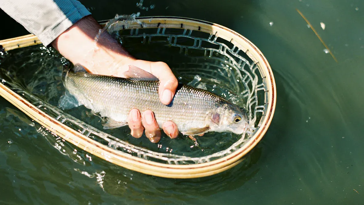 Fish Ruler Guide for Easy and Accurate Measuring